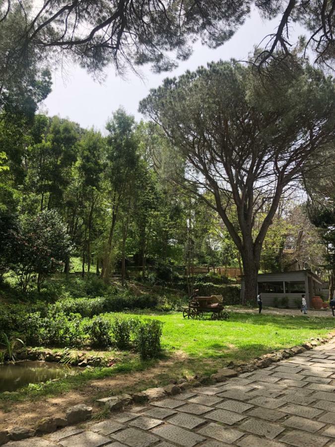 Villa Musolino - Country Resort Messina Ngoại thất bức ảnh