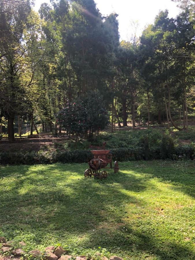 Villa Musolino - Country Resort Messina Ngoại thất bức ảnh